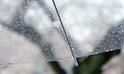 เรียนรู้ 2 คำศัพท์ญี่ปุ่นเกี่ยวกับ "ฝน" ที่ดูคล้าย ... แต่แตกต่าง!