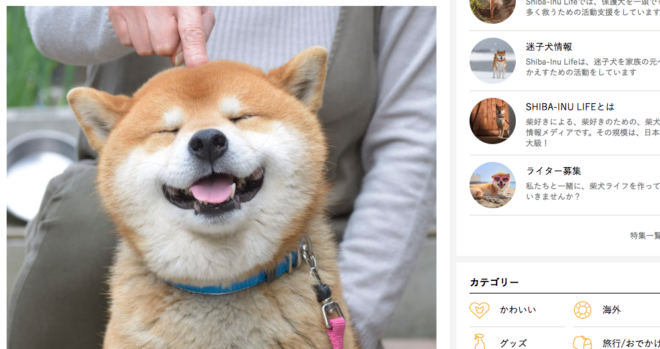 129e71b03ebe1cdb1236e9ceefd26