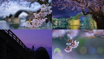 นี่ละความสวยงามของญี่ปุ่น! 4 ภาพสวยจาก จังหวัดยามากุจิ