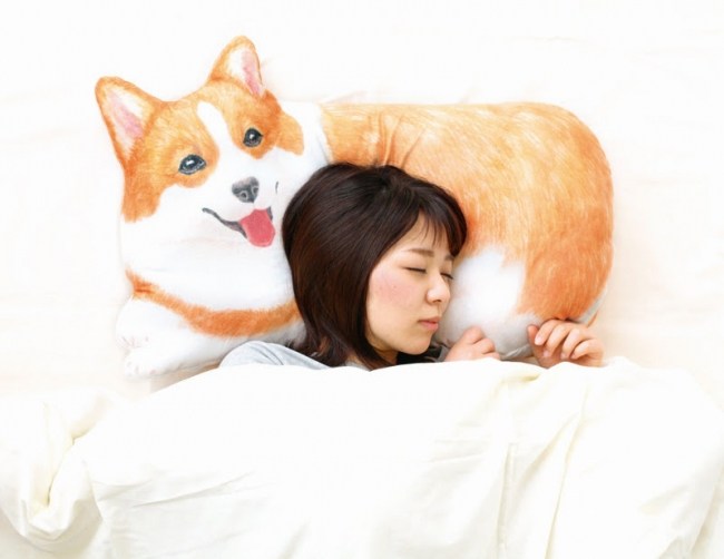 ปลอกหมอน Corgi