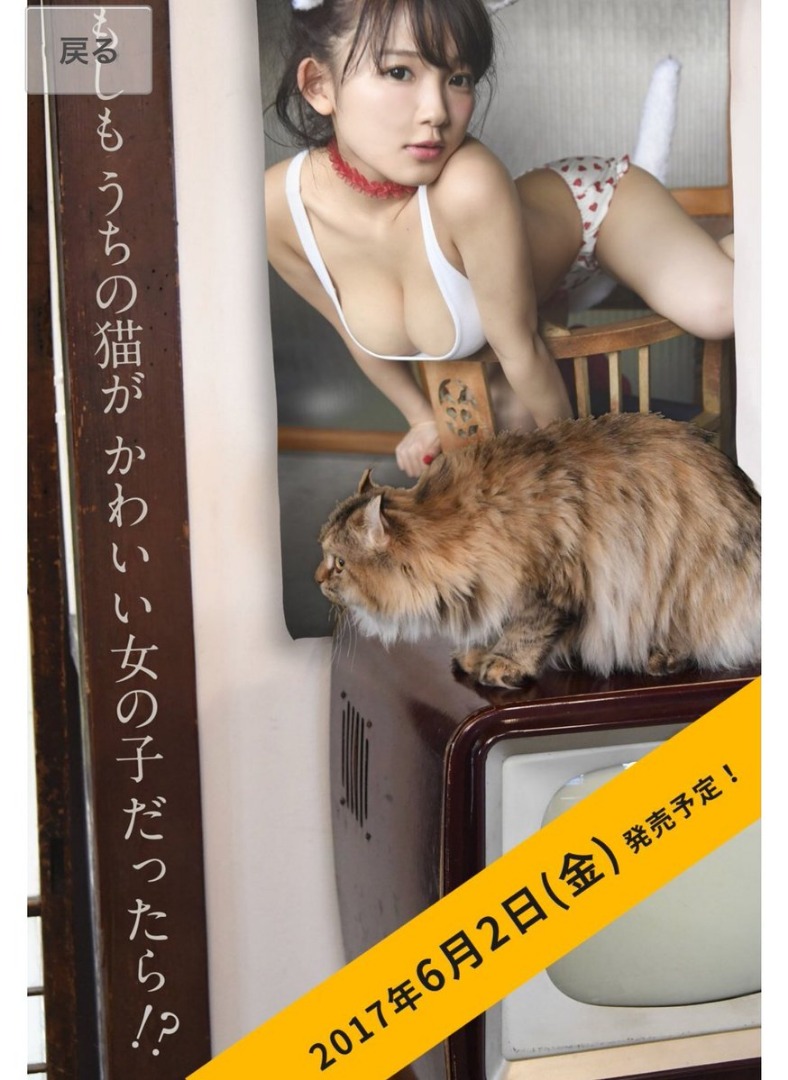 Gravure Idols are Cats