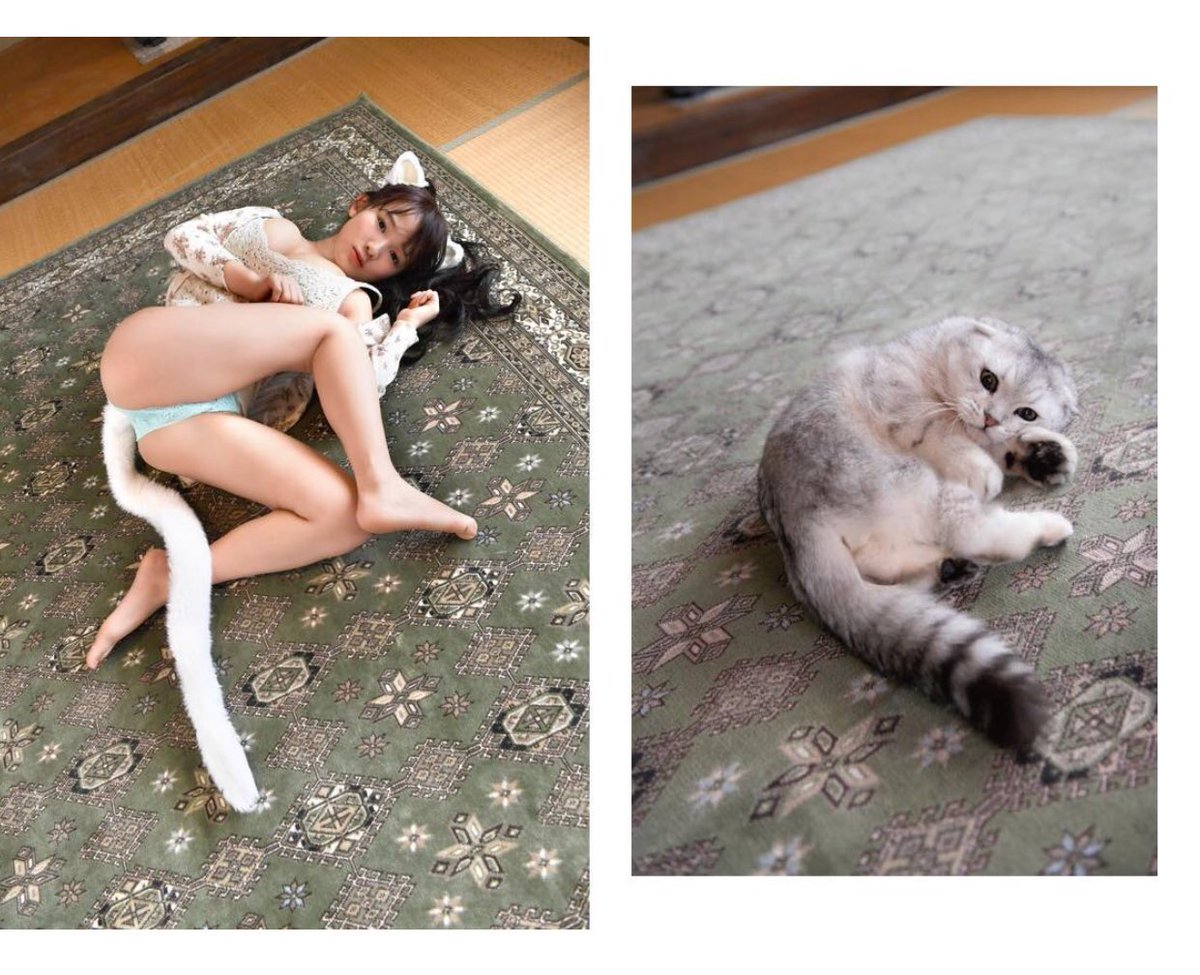 Gravure Idols are Cats