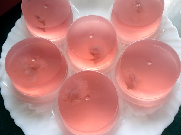 ซากุระกินได้