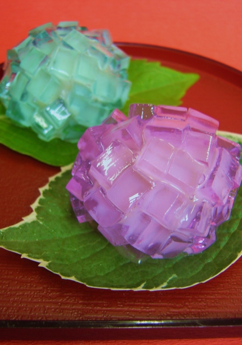 "ไฮเดรนเยีย" ดอกไม้สัญลักษณ์แห่งฤดูฝน กับหลากหลายเรื่องราวน่ารู้