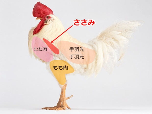 เรียนรู้หน่วยนับเกี่ยวกับปลา และคำศัพท์ในตำราทำอาหารญี่ปุ่นกันเถอะ