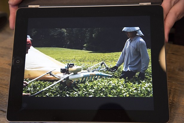 Nakamura Tea Life Store