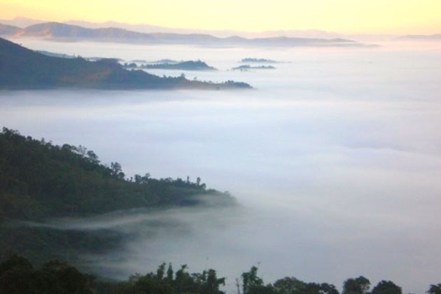 ປ່າສະຫງວນພູຖະແຫຼງ ດິນແດນທະເລໝອກ ແຂວງຜົ້ງສາລີ
