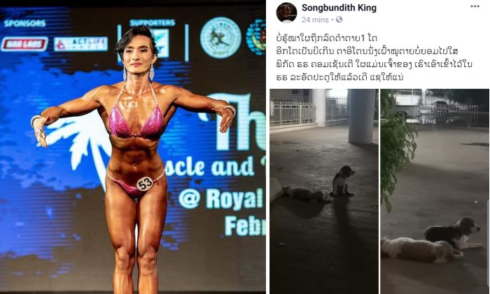 ກຸ້ງກິ້ງ ນັກເພາະກາຍສາວປະກາດຫາເຈົ້າຂອງໝາຖືກລົດຕຳຕາຍ ອີກໂຕໜຶ່ງນັ່ງເຝົ້າຮ່າງໄຮ້ຊີວິດບໍ່ຍອມໄປໃສ
