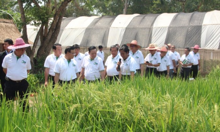 ສະຖາບັນຄົ້ນຄວ້າກະສິກຳ-ປ່າໄມ້ ສະຫຼອງ 20 ປີການຄົ້ນຄວ້າ ພ້ອມເປີດງານວາງສະແດງກະສິກຳ