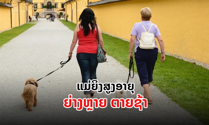 7,500 ກ້າວກໍພໍ! ຜົນວິໄຈຊີ້ ແມ່ຍິງສູງອາຍຸ ຫາກຍ່າງຫຼາຍ ຈະບໍ່ຕາຍໄວ