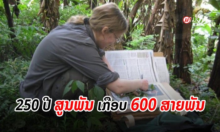 ນັກວິໄຈເຜີຍ 250 ປີທີ່ຜ່ານມາ ມີພັນພືດສູນພັນໄປແລ້ວເກືອບ 600 ສາຍພັນ
