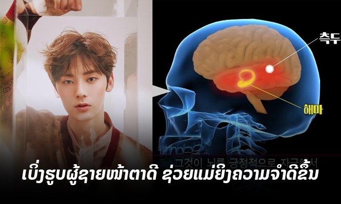 ຜົນທົດລອງ: "ເບິ່ງຮູບຜູ້ຊາຍໜ້າຕາດີ" ຊ່ວຍກະຕຸ້ນຄວາມຈື່ຈຳຂອງແມ່ຍິງ