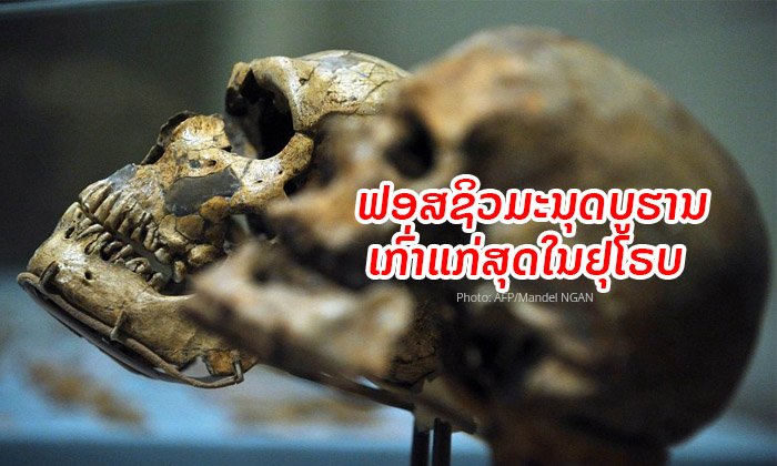 ນັກວິໄຈເກຣັກຄາດ ຄົ້ນພົບຊາກດຶກດຳບັນຂອງມະນຸດທີ່ເກົ່າແກ່ທີ່ສຸດໃນຢຸໂຣບ