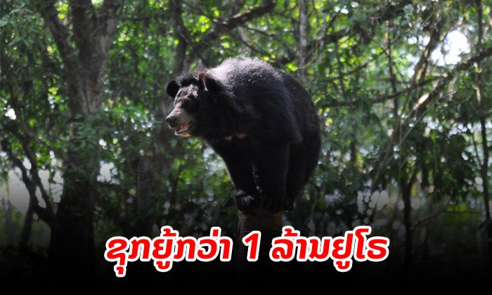 ສະຫະພາບເອີຣົບ ໃຫ້ທຶນຊຸກຍູ້ກວ່າ 1 ລ້ານຢູໂຣ ເພື່ອຕ້ານການຄ້າສັດປ່າຢູ່ລາວ