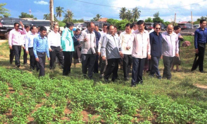 ນາຍົກ ລົງຢ້ຽມຢາມເມືອງຫາດຊາຍຟອງ ພ້ອມເນັ້ນໃຫ້ປູກພືດຜັກປອດສານພິດໃຫ້ຫຼາຍຂຶ້ນ