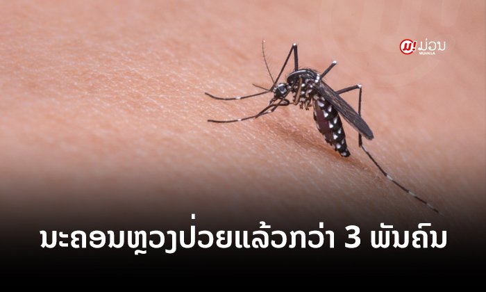 ນະຄອນຫຼວງວຽງຈັນ ມີຄົນເຈັບພະຍາດໄຂ້ຍຸງລາຍກວ່າ 3 ພັນກໍລະນີ ອັນດັບ 1 ຂອງປະເທດ