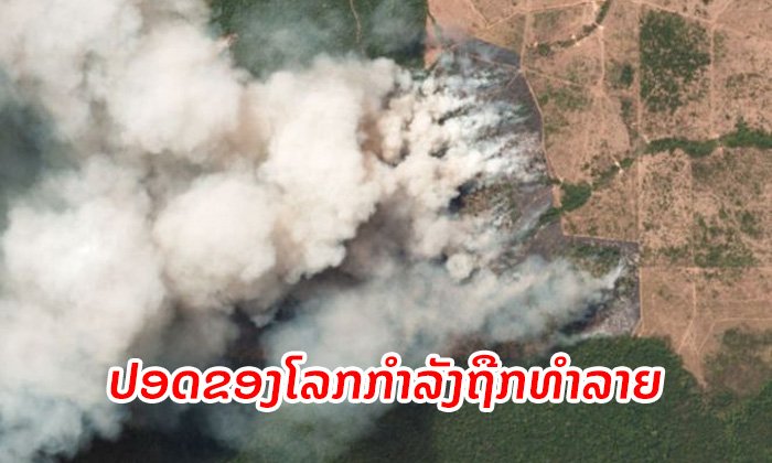 ຍ້ອນຫຍັງ "ປ່າແອມະຊອນ" ຈຶ່ງເກີດໄຟໄໝ້ຢ່າງຮຸນແຮງ?