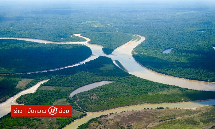 ຮູ້ຈັກປ່າ "Amazon" ເປັນຫຍັງປ່າດົງດິບແຫ່ງນີ້ຈຶ່ງມີຄວາມສຳຄັນຫຼາຍຕໍ່ກັບໂລກ?