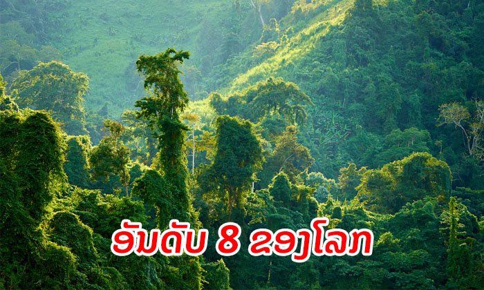 ລາວຕິດອັນດັບ 8 ຂອງໂລກ ປະເທດທີ່ມີເນື້ອທີ່ປ່າປົກຫຸ້ມຫຼາຍທີ່ສຸດ