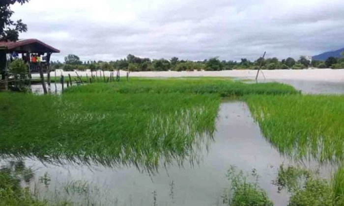 ທະນາຄານນະໂຍບາຍ ຈະເລື່ອນການຊຳລະເງິນກູ້ ໃຫ້ປະຊາຊົນໃນເຂດປະສົບໄພນໍ້າຖ້ວມ