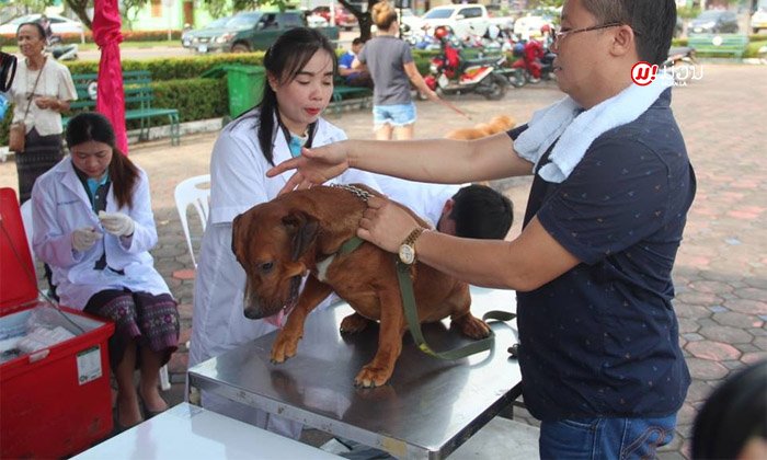ລາວສະຫຼອງວັນຕ້ານພະຍາດວໍ້ໂລກ ກຽມເປີດສັກວັກຊີນກັນວໍ້ໃຫ້ສັດລ້ຽງຟຣີ 27 ກັນຍານີ້