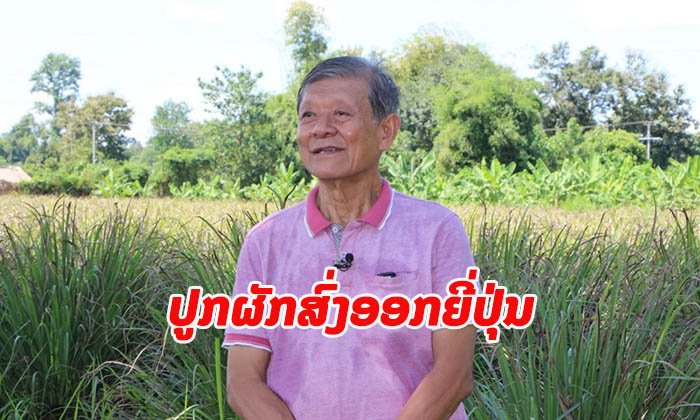ທ່ານ ບຸນໂຮມ ຊົງປະດິດ ຄົນລາວຜູ້ປູກ “ຜັກປອດສານພິດ” ສົ່ງອອກຂາຍໃຫ້ປະເທດຍີ່ປຸ່ນ