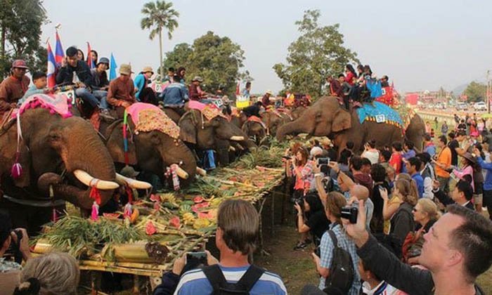 ມະຫະກຳບຸນຊ້າງ ປີ 2020 ຈະເນັ້ນໜັກກິດຈະກຳທີ່ຕິດພັນກັບຊ້າງ ແລະ ການອະນຸຮັກຊ້າງ