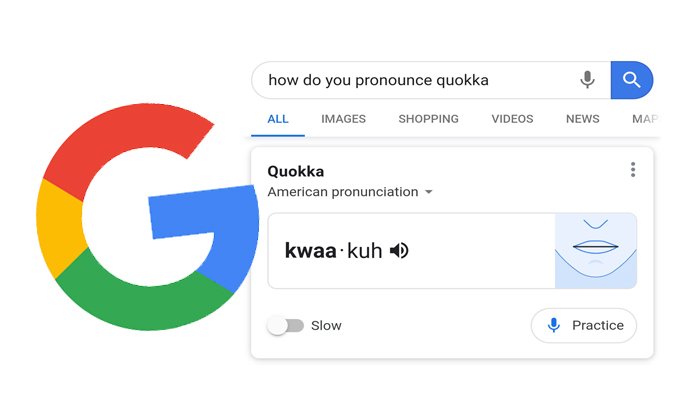 Google ອອກຄຸນສົມບັດໃໝ່ ສອນອອກສຽງພາສາອັງກິດຟຣີ ພ້ອມທັງແນະນຳວິທີອອກສຽງທີ່ຖືກຕ້ອງ