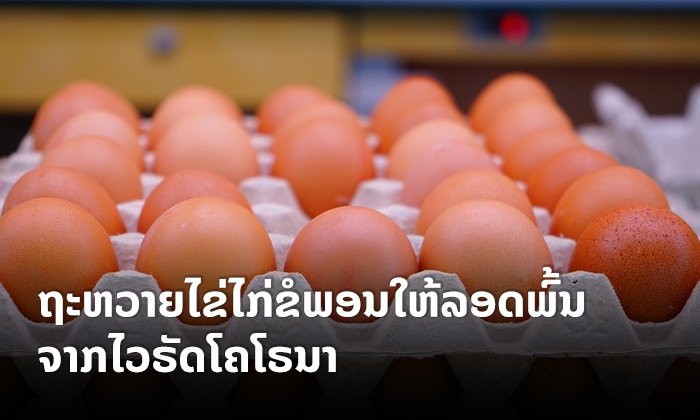 ຄົນຈີນເໝົາໄຂ່ໄກ່ 200,000 ໜ່ວຍ ໄປຂໍພອນພະພຸດທະຮູບຢູ່ໄທ ໃຫ້ປະເທດລອດພົ້ນຈາກໄວຣັດໂຄໂຣນາ