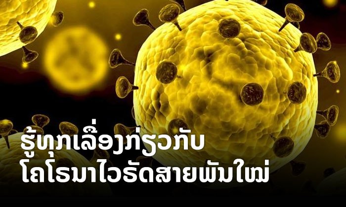 ຮູ້ຈັກ "ໂຄໂຣນາໄວຣັດ" ເຊື້ອຈຸລະໂລກເຊິ່ງກໍ່ໃຫ້ເກີດພະຍາດ "ໂຄວິດ-19"