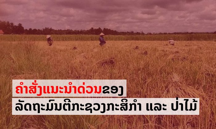 ລັດຖະມົນຕີກະຊວງກະສິກຳ ແລະ ປ່າໄມ້ ອອກຄຳສັ່ງແນະນຳດ່ວນ ຜັນຂະຫຍາຍຄຳສັ່ງ 06/ນຍ ຂອງນາຍົກ