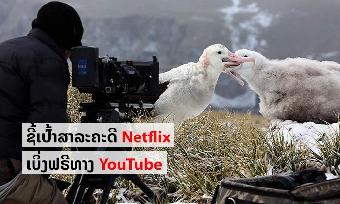 ແຈກໃຫ້ເບິ່ງກັນແບບຟຣີໆ ສາລະຄະດີຄຸນນະພາບຈາກ Netflix ເອົາໄວ້ເບິ່ງໃນໄລຍະກັກໂຕຢູ່ເຮືອນຕ້ານໂຄວິດ-19