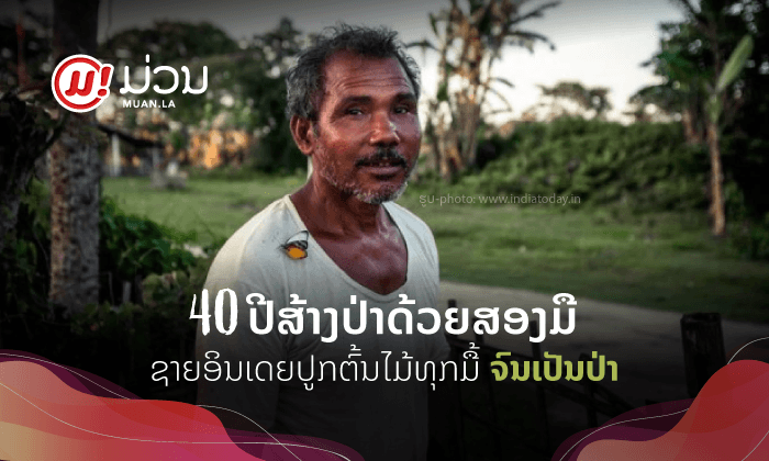 "ຈາດັບ ປາເຢັງ" ຊາຍອິນເດຍຜູ້ສ້າງປ່າດ້ວຍການປູກຕົ້ນໄມ້ທຸກມື້ເປັນເວລາ 40 ປີ