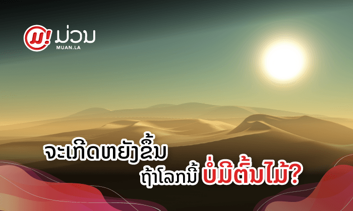 ຈະເກີດຫຍັງຂຶ້ນຖ້າໂລກນີ້ບໍ່ມີຕົ້ນໄມ້?