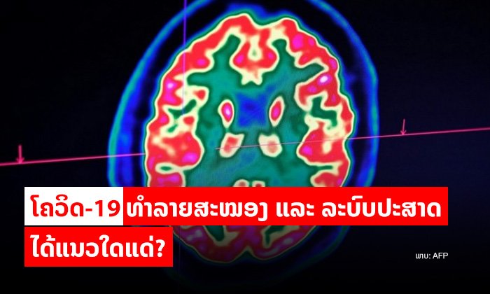 ຮູ້ໄດ້ໃນ 5 ຂໍ້: ໂຄວິດ-19 ທຳລາຍສະໝອງ ແລະ ລະບົບປະສາດໄດ້ແນວໃດແດ່?