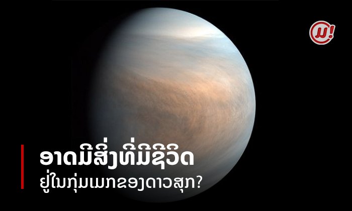 ກຸ່ມເມກຂອງດາວສຸກອາດຈະມີສິ່ງທີ່ມີຊີວິດອາໄສຢູ່?