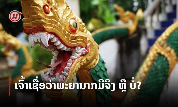 ເຈົ້າເຊື່ອວ່າພະຍານາກມີຈິງບໍ່? ເປີດເລື່ອງລາວກ່ຽວກັບພະຍານາກທີ່ຜູກພັນກັບສັງຄົມລາວມາແຕ່ບູຮານ