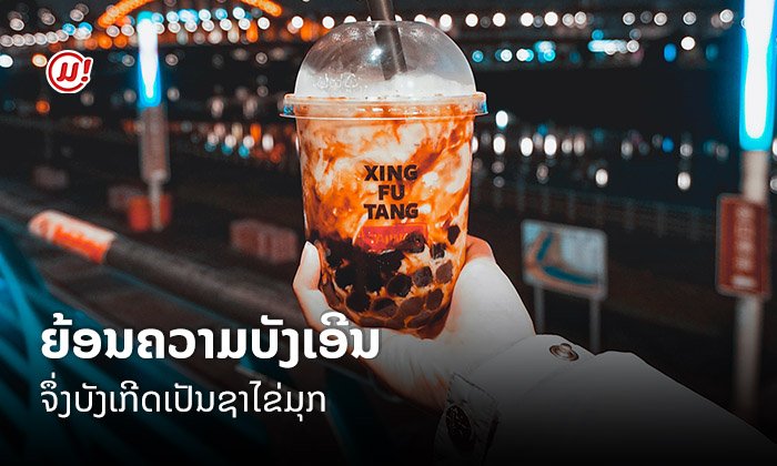 ເພາະເລື່ອງບັງເອີນ... ຈຶ່ງບັງເກີດເປັນຊາໄຂ່ມຸກ