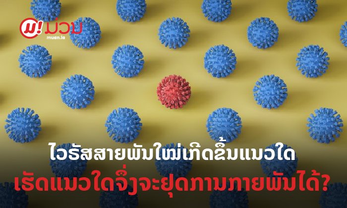 ໄວຣັສສາຍພັນໃໝ່ເກີດຂຶ້ນໄດ້ແນວໃດ? ແລະ ເຮັດແນວໃດຈຶ່ງຈະຢຸດການກາຍພັນໄດ້?