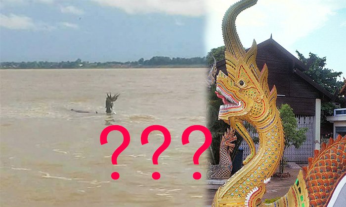ແທ້ ຫຼື ປອມ? ຮູບຖ່າຍທີ່ອ້າງວ່າເປັນພະຍານາກ ຢູ່ໃນແມ່ນ້ຳຂອງ ແຂວງສະຫວັນນະເຂດ