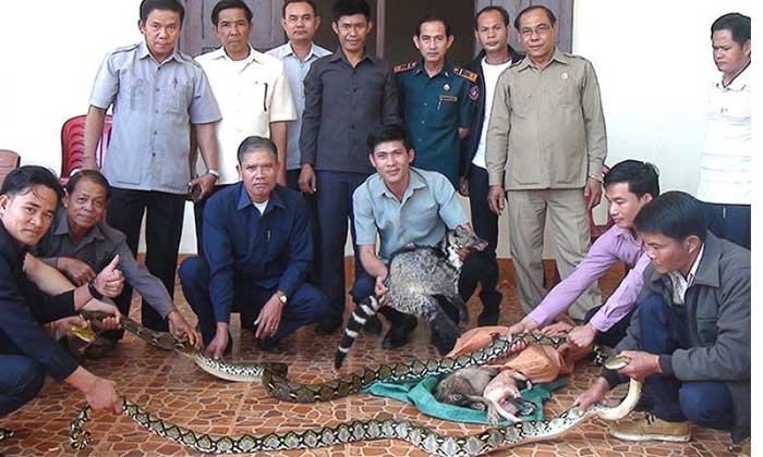 ກະສິກໍາ-ປ່າໄມ້ ເມືອງເຊໂປນ ຢືດສັດປ່າຫວງຫ້າມ ຈາກຂະບວນການລັກລອບສົ່ງອອກສັດປ່າໄປຍັງຫວຽດນາມ