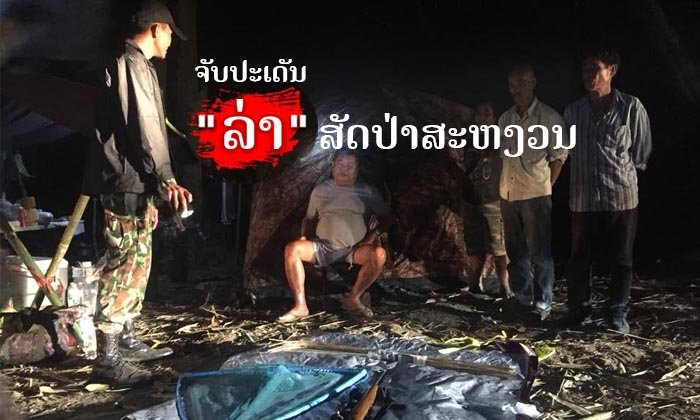 ຈັບປະເດັນ ປະທານບໍລິສັດກໍ່ສ້າງຊື່ດັງຂອງໄທຖືກຈັບ ກໍລະນີ "ລ່າ" ເສືອດຳ ສັດປ່າສະຫງວນ