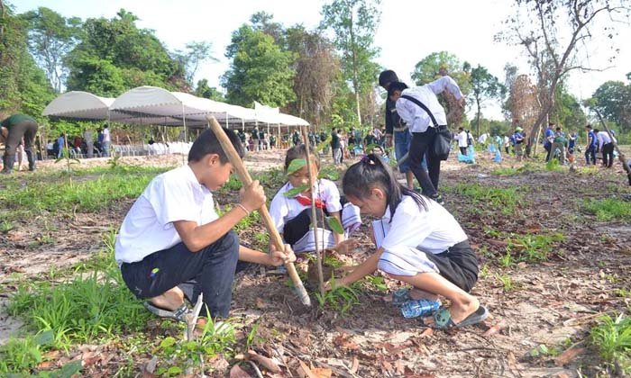 ກະຊວງກະສິກໍາ ແລະ ປ່າໄມ້ ປູກໄມ້ຫຼາຍກວ່າ 4 ພັນຕົ້ນ ແນໃສ່ປູກໄມ້ເພື່ອໃຫ້ກາຍເປັນປ່າ