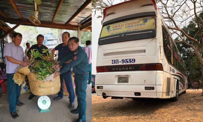 ເຈົ້າໜ້າທີ່ສະຫວັນນະເຂດກັກລົດຄົນຫວຽດນາມ ລັກລອບນຳພືດປ່າຫວງຫ້າມອອກນອກປະເທດ