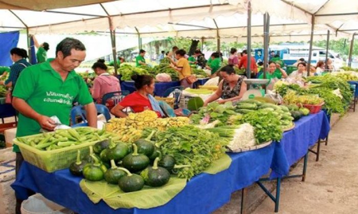 ລາວສືບຕໍ່ເຈລະຈາເປີດຕະຫຼາດ ເພື່ອສົ່ງອອກພືດໄປຕ່າງປະເທດໃຫ້ຫຼາຍຂຶ້ນ