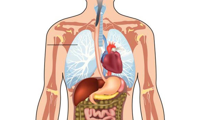 Health Fun Facts