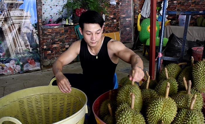 สุดแซ่บ!! พ่อค้าทุเรียนลับแลกล้ามใหญ่