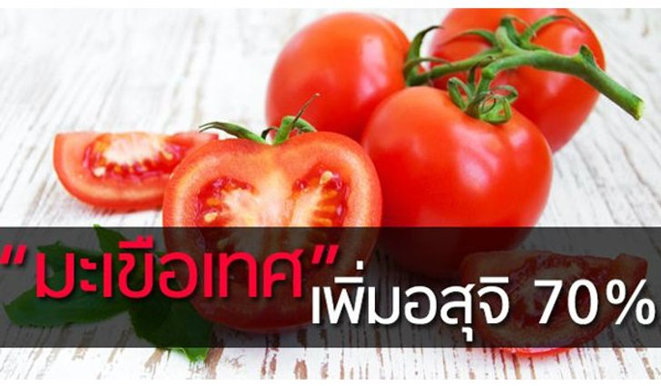ไม่เชื่อก็ต้องเชื่อ "มะเขือเทศ" เพิ่มจำนวนอสุจิได้ถึง 70%!!