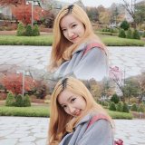 แพนด้า ฝนนภา