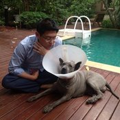 สรยุทธ